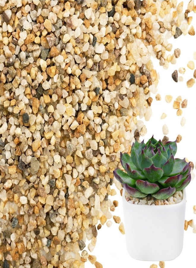 NUPICK 3-5mm Coarse Sand for Plants, 6lb Horticultural Grit for Succulents, Desert Silica Sand for Cactus, Decorative Gravel for Landscaping, Gold Grit for Aquariums, Bonsai, Vases Fillers - Image 1